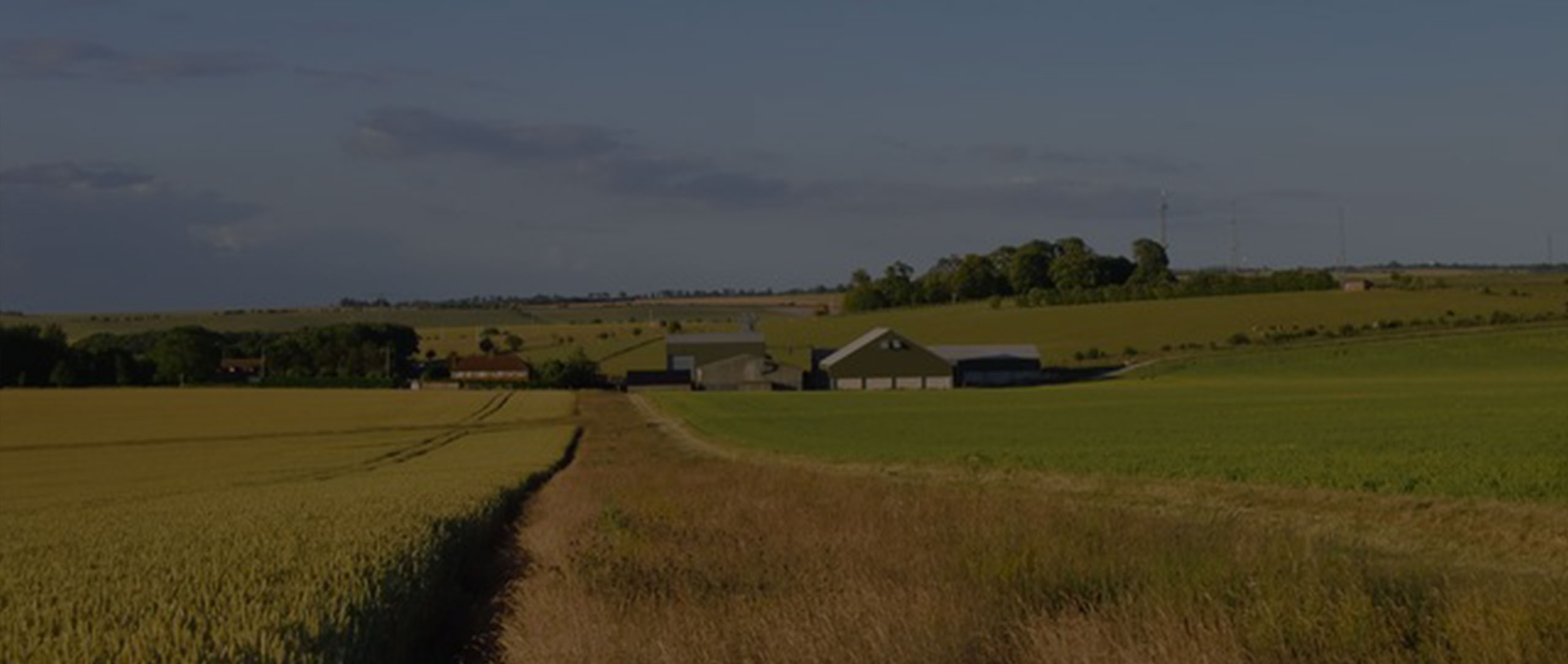 Parish Countryside